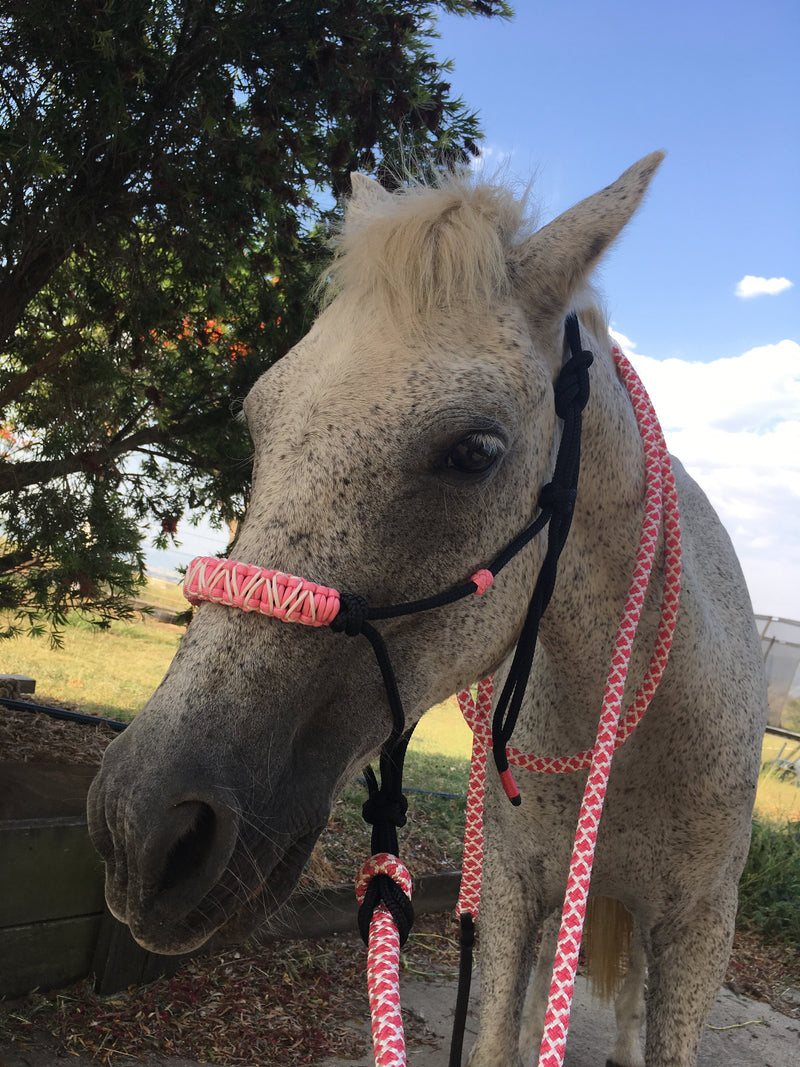 6mm Horsemanship Halter