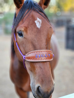 Halter With Name Noseband Painted Bronc Style