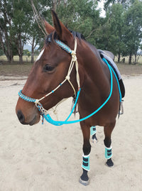 Bitless Bridle With Stitched Solomon Braid