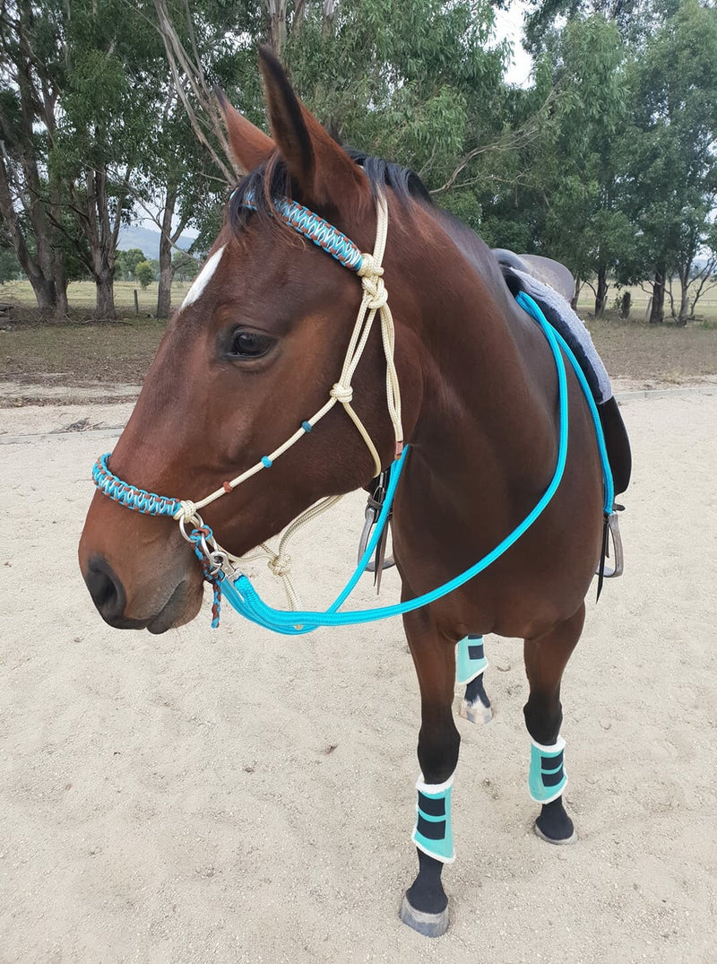 Bitless Bridle With Stitched Solomon Braid
