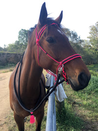 Bitless Riding Bridle