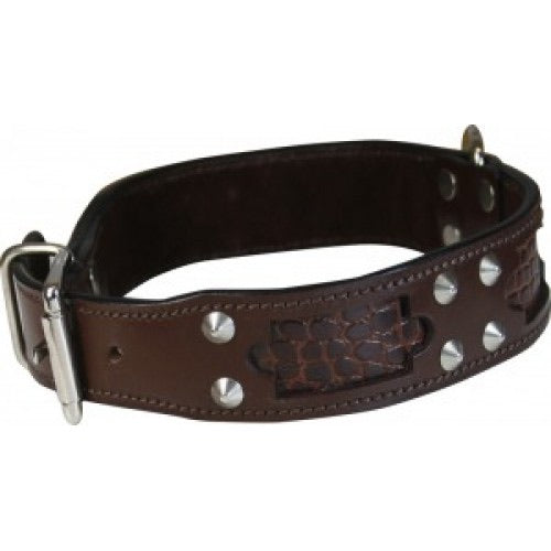 leather studded dog collar