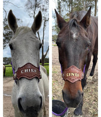 Nylon Buckle Halter With Name Noseband Painted Rounded Diamond Shape