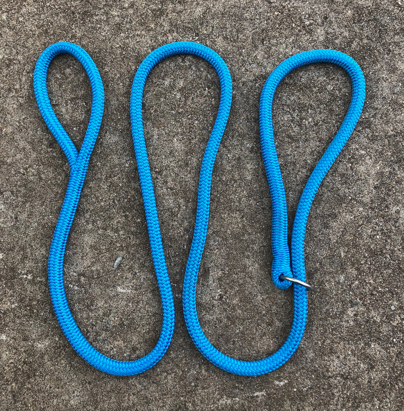 Dog Slip Lead With Ring