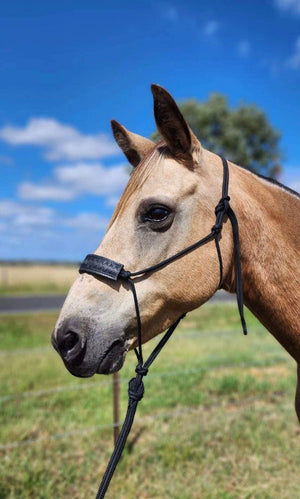 Rope Halter With Rectangle Leather Noseband 6mm