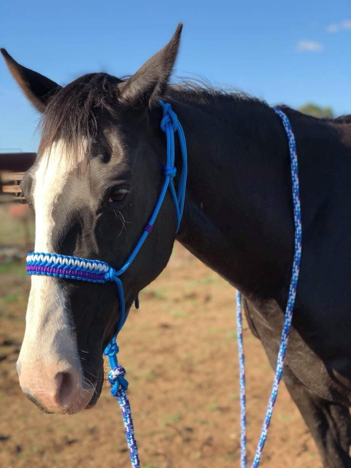 Equestrian Rope Halter