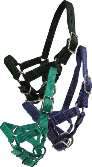 Alpaca/Sheep/Goat Webbing Buckle Halter