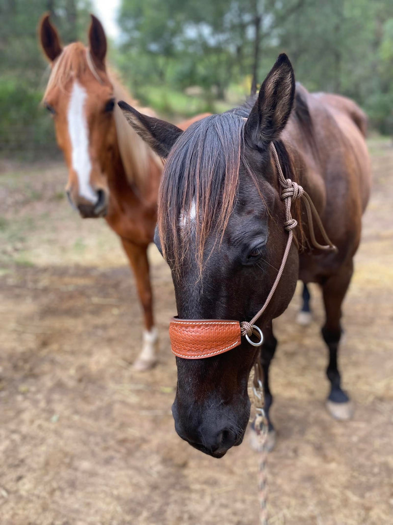 Side Pull/Riding Halter With Leather Noseband