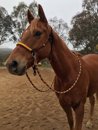 Bitless Riding Bridle