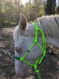 Rope Halter 6mm With Heart Stitching