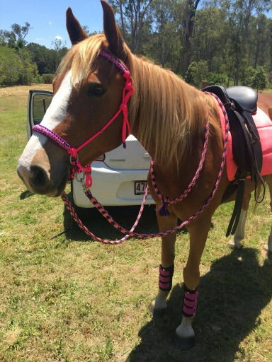 Bitless Bridle Flat Braid