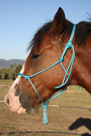 Horsemanship Halter 6mm