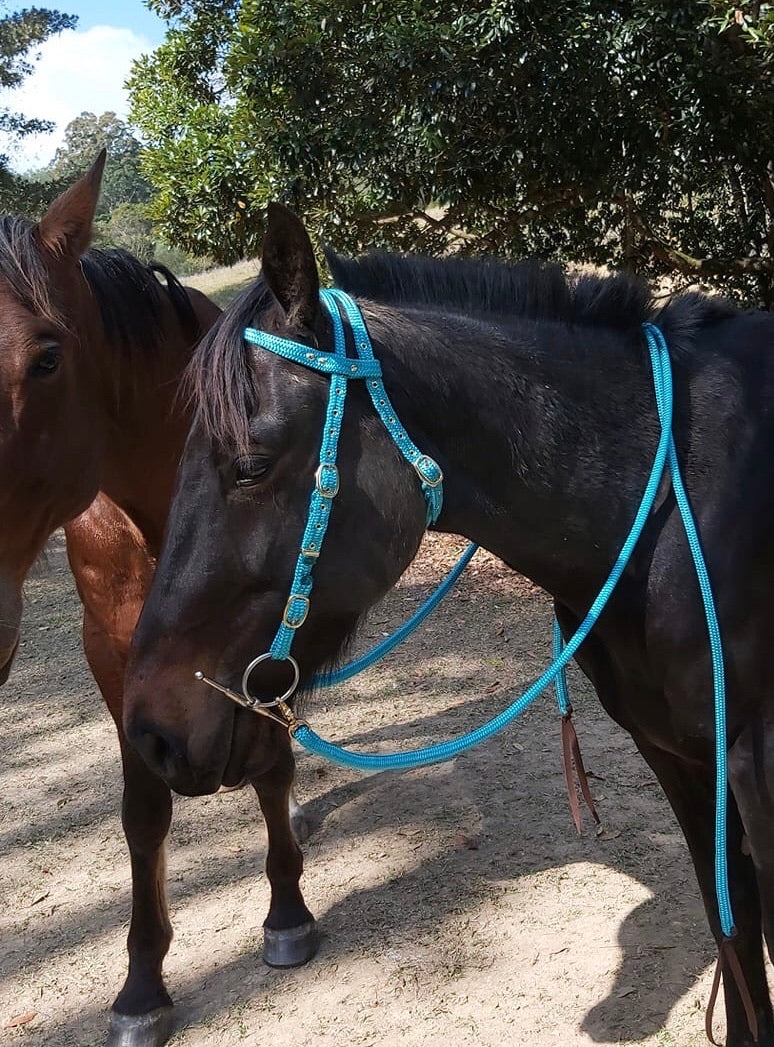Flat Style Rope Bridle 12mm No Clips