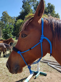 Horsemanship Halter 6mm