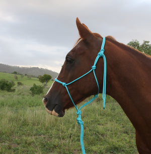 Turquoise Rope halter